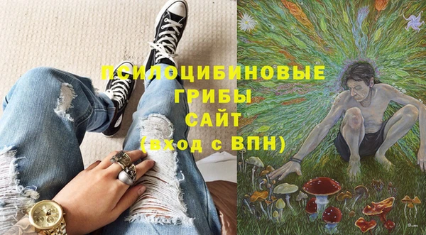 стаф Арсеньев