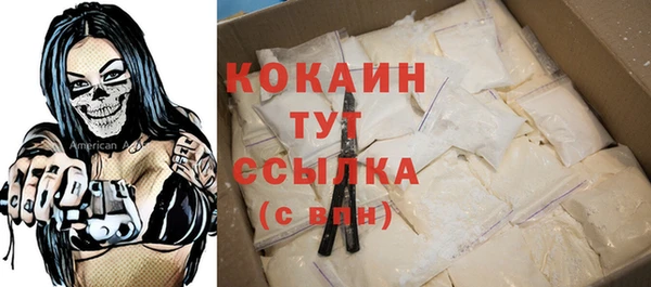 стаф Арсеньев
